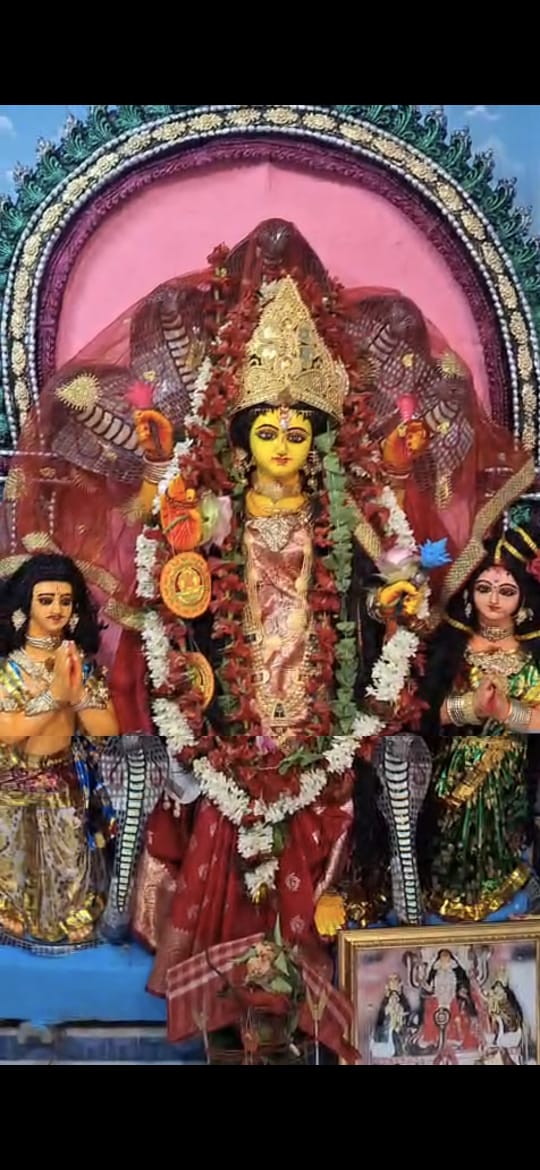 মনসা দেবীর পুজোয় ভক্তিতেই মুক্তি