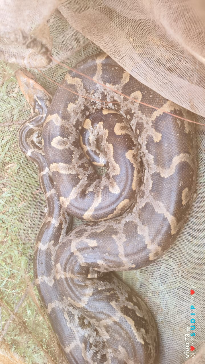 রহস্যময় ঘটনার সাক্ষী থাকল বাঁকুড়ার সারেঙ্গা ব্লকের…