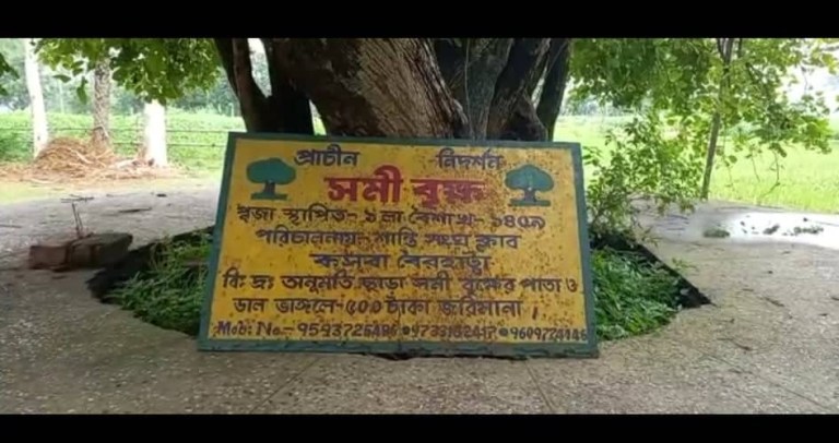 ‎মহাভারতের শমী বৃক্ষ দেখতে আজও হরিরামপুর হাতিডোবা গ্রামে আসেন বহু মানুষ‎